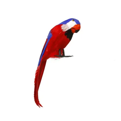 LORO PIRATA 25CM 16488