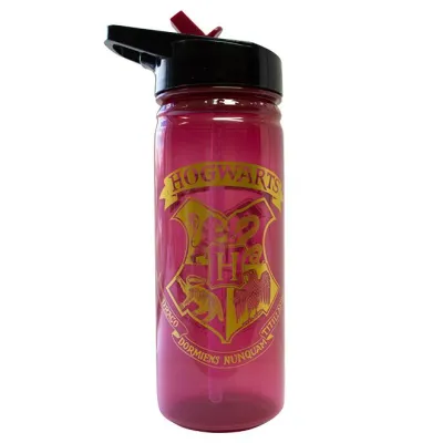 BOTELLA HARRY POTTER 600ML. HP91553