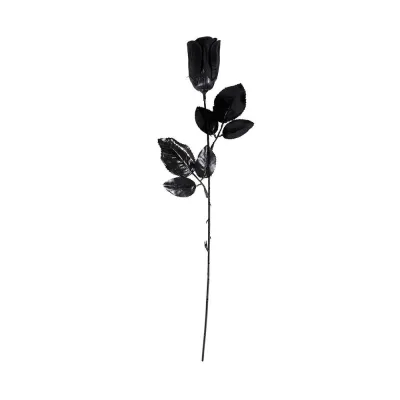 ROSA NEGRA 105700