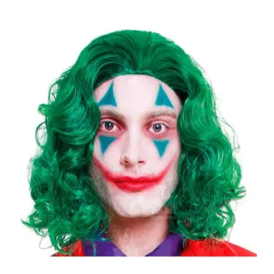 PELUCA LARGA PAYASO VERDE  71135
