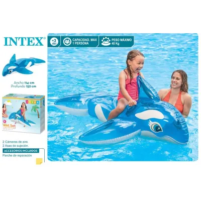 BALLENA TRANSPARENTE 152X114 58523