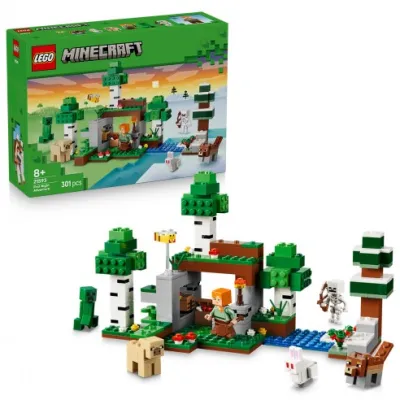 LEGO 21593