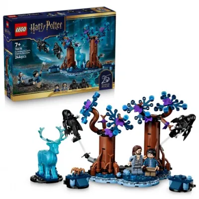 LEGO 76475
