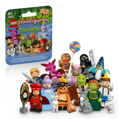 LEGO 71053