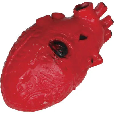 CORAZON LATEX 15CM 29681
